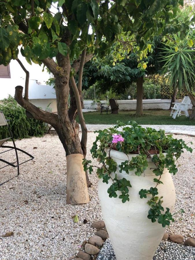 Il Gelso Nella Valle أغريجنتو المظهر الخارجي الصورة